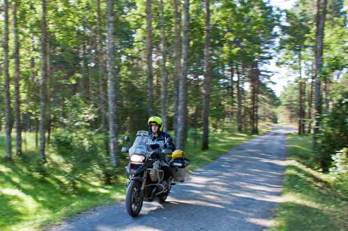 Bjoern in Litauen Lettland Estland