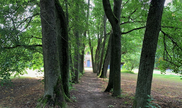 Gojelis Mantagailiskis Birzai Mantagailiskis Birzai Litauen Herrenhaus