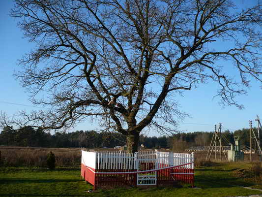 Zulov Geburtsort Pilsudski