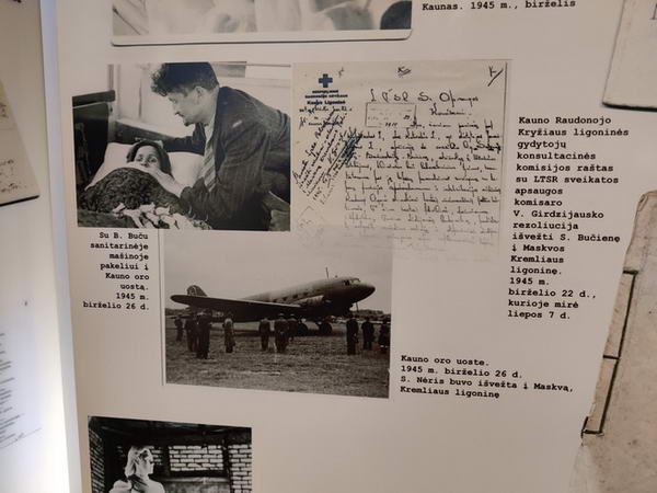 Bernhardas Bucas Salomeja Neris Krankenbett Bucas am Sterbebett von Salomeja Neris