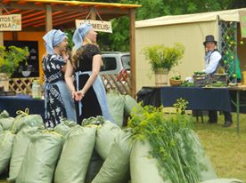 Gurkenfest Kedainiai Kedainiai Gurken