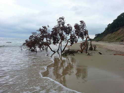 Ansichten Strand Karkle