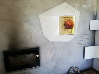 Bernsteinklumpen gross Stein des Donnergottes