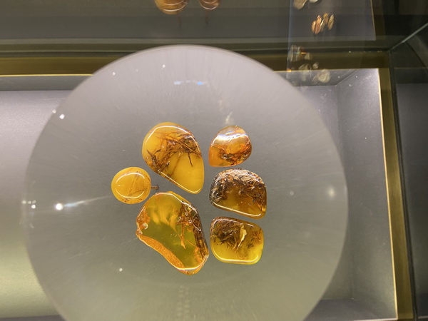 Bernstein Nida Inklusen Bernsteinmuseum Nida Migiris Inklusen