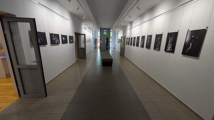 Raseiniai Museum Aktfotos