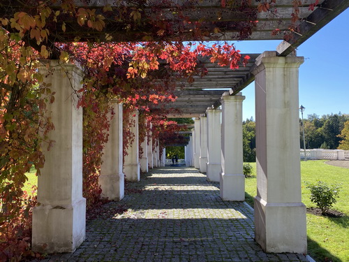 Ranevo Dvaras Litauen Blumen Ranevo Dvaras Flaniermeile