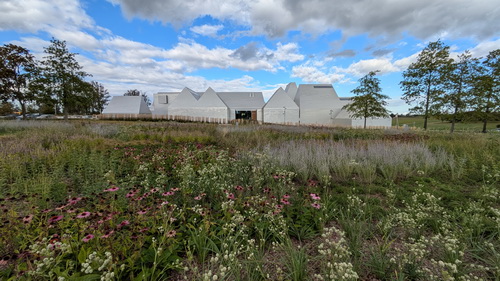 Narzissen und Bäume Lost Shtetl