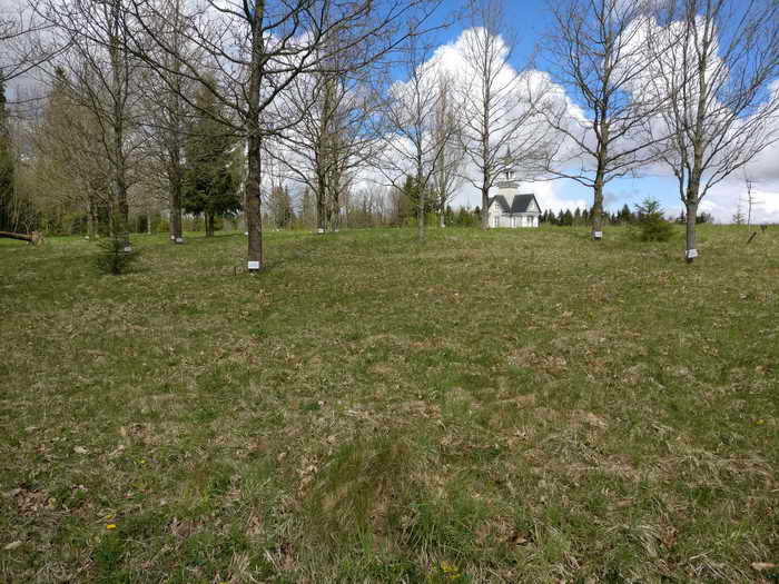 Rainiai Massaker Wald Wald von Rainiai mit Namensbäumen der ermordeten Litauer
