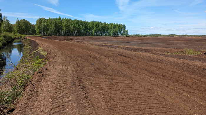 Torfabbaugebiete zwischen Kintai und Silute