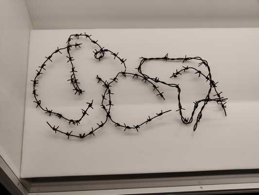 Stacheldraht aus Paneriai Ponary Haus der Geschichte Vilnius Stacheldraht