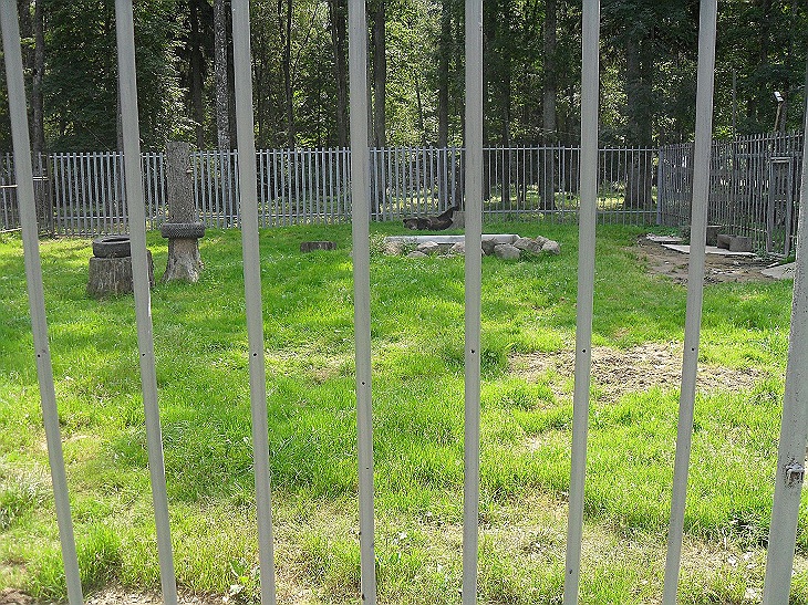 Bär Lokys Raubonys Oak