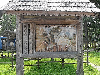 raubonys oak oder 19. kilometer