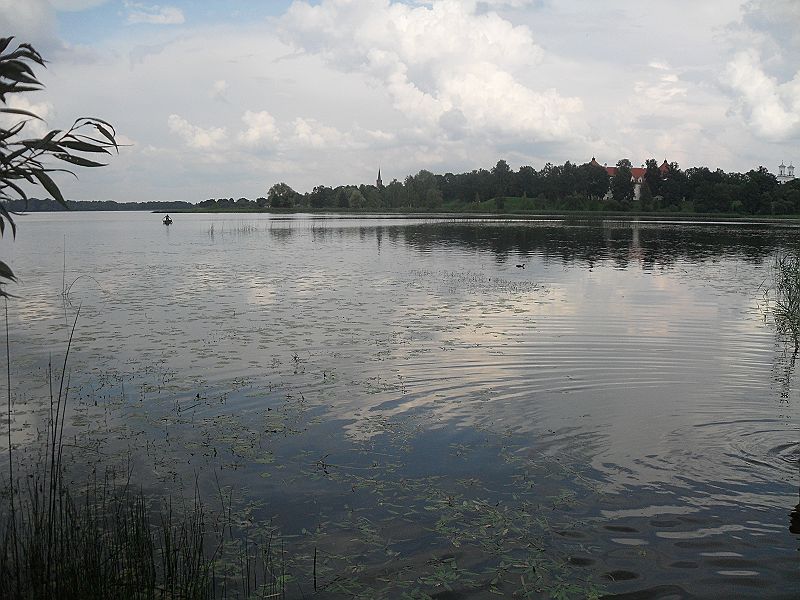 sirvena see Birzai Litauen